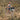 All Terrain Bikes - Panorama Cycles