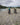 Fat bikes - Panorama Cycles